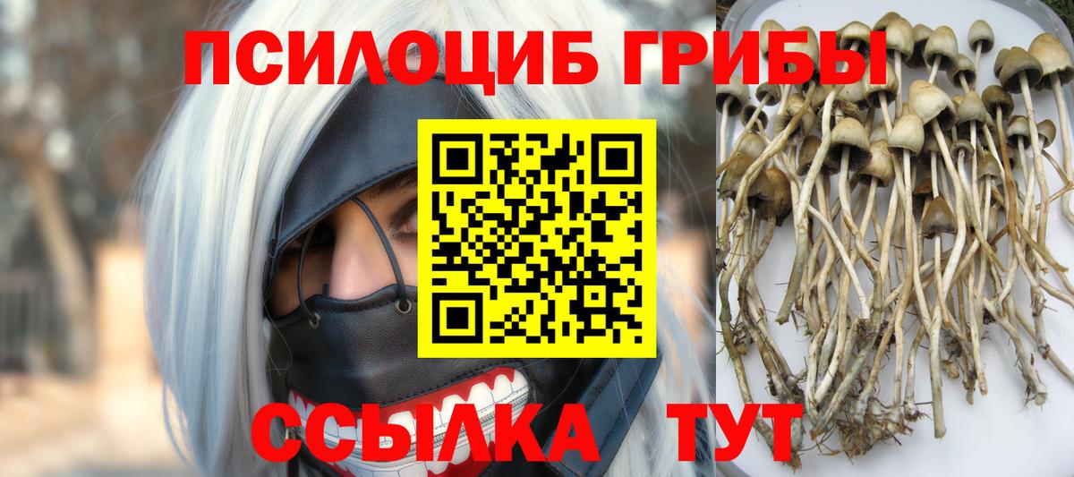 Кстово  Псилоцибиновые грибы ЛСД  Вход с VPN  Галлюциногенные грибы GOLDEN TEACHER 