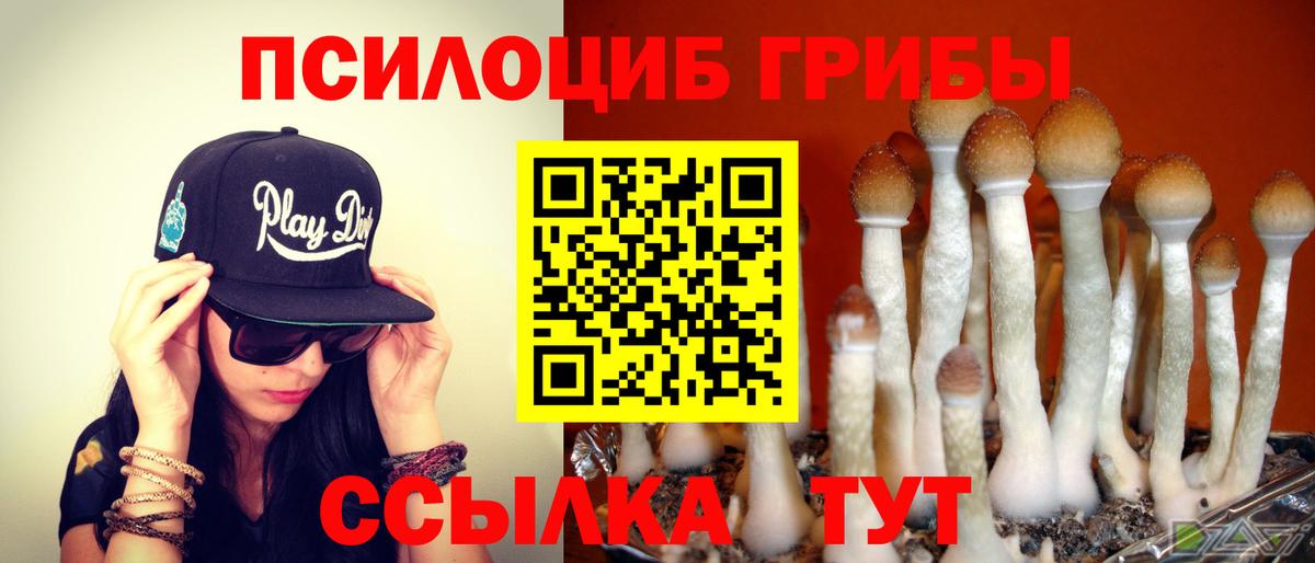 Псилоцибиновые грибы MAGIC MUSHROOMS Кстово